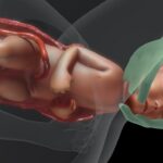 Understanding of Normal Childbirth that You Must Know