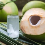 Benefits of Green Coconut for Young Pregnant Women