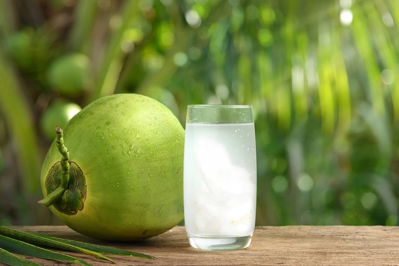 Coconut Water Consumption in Pregnant Women in the First Trimester