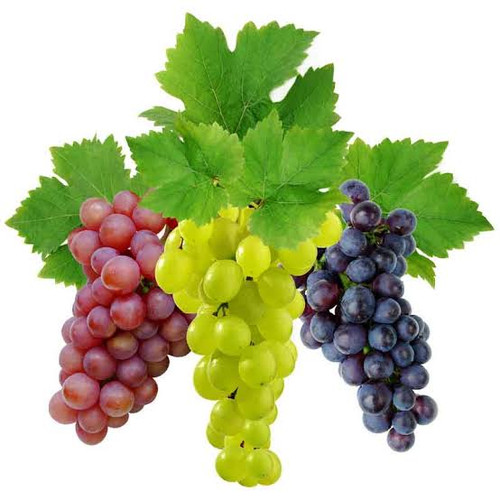 Benefits of Grapes for Health