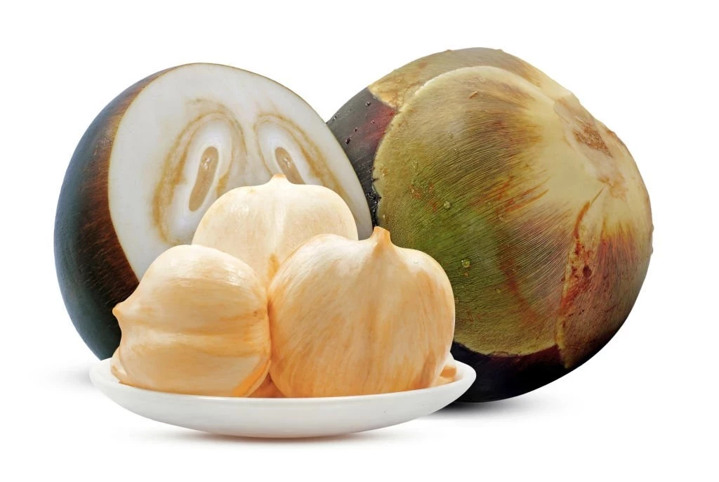 Some Benefits of Lontar Fruit for Health
