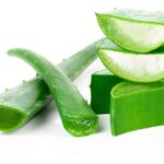 Content and Benefits of Aloe Vera for Facial Skin