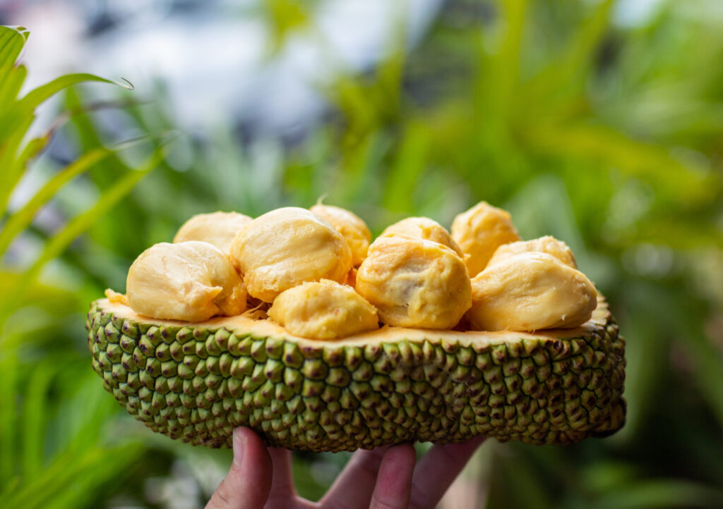 Benefits of Cempedak for Health