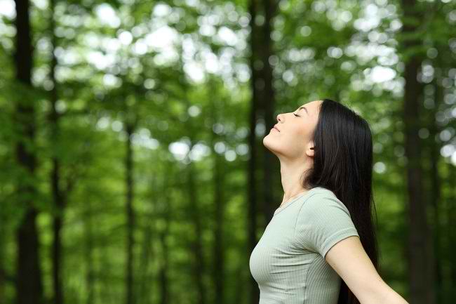 Understanding Mental Health and How to Maintain It