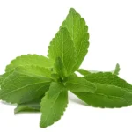 Get to know Stevia Leaves as a Natural Sweetener Substitute for Sugar